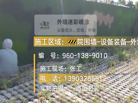 东丽外墙迷彩漆材料价约 45-60 元 /k