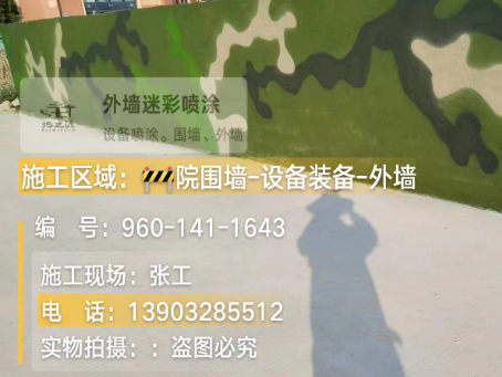 东丽 迷彩漆喷涂价格(按平方米计费)